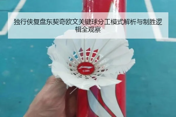 独行侠复盘东契奇欧文关键球分工模式解析与制胜逻辑全观察