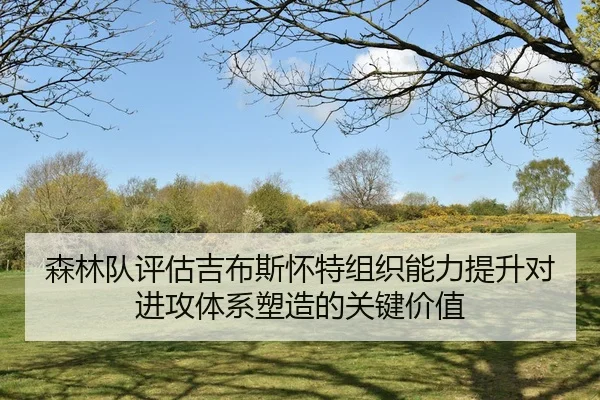 sen-lin-dui-ping-gu-ji-bu-si-huai-te-zu-zhi-neng-li-ti-sheng-dui-jin-gong-ti-xi-su-zao-de-guan-jian-jia-zhi-2-825.jpg